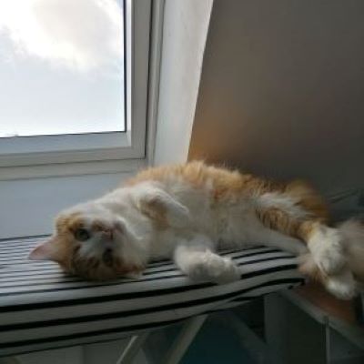 ishtar atelier Anicha