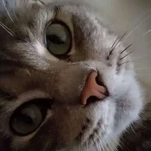 Origami2 Wp 600x600 1